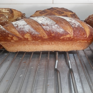  Country Toast (Vegan)