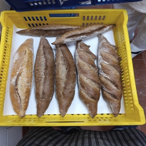  Brown Baguette