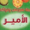 Logo 3aseeer El Ameer