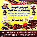 El Adham Grills