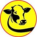 Logo Mashwiat El sherif