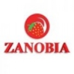 Zanobia menu