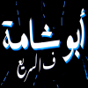 Abo Shama FelSaree3