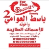 Basset ElAwamy