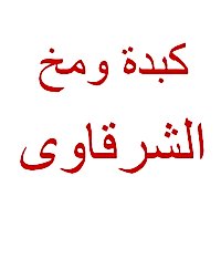 منيو الشرقاوى مصر الجديدة