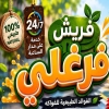 Frish  Farghaly Sheratoon