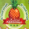 Logo Frish Farghaly