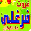 Frout Farghaly