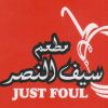 Logo Just Foul