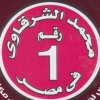 Logo mohamed el shrqawy