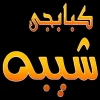 لوجو شيبه