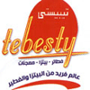 Logo Tebesty