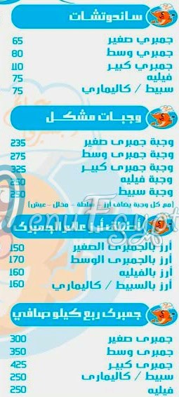 عالم الجمبري مصر الخط الساخن