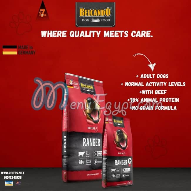 سفن بيتس مصر