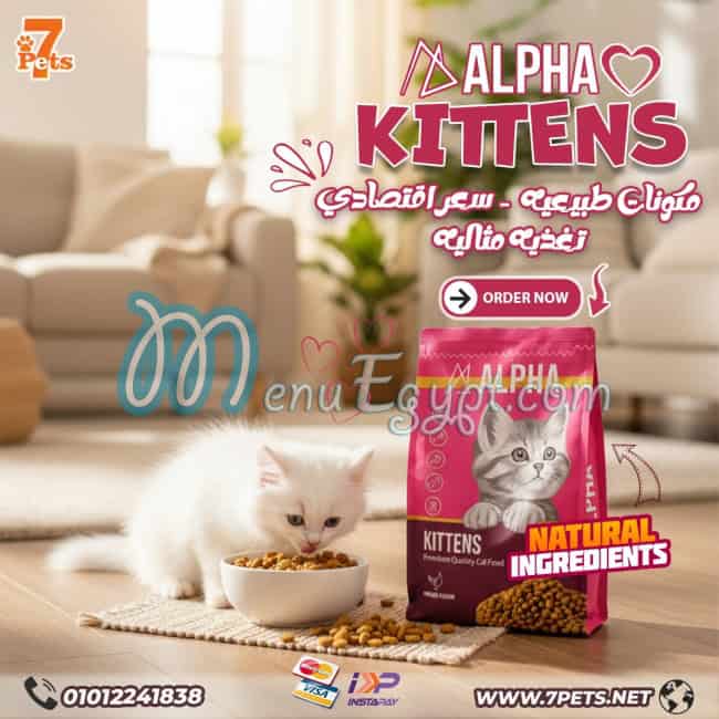 سفن بيتس مصر الخط الساخن