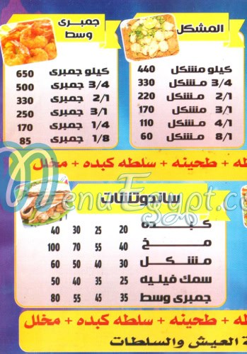 Al-Sharqawi Khedr El-Touny egypt