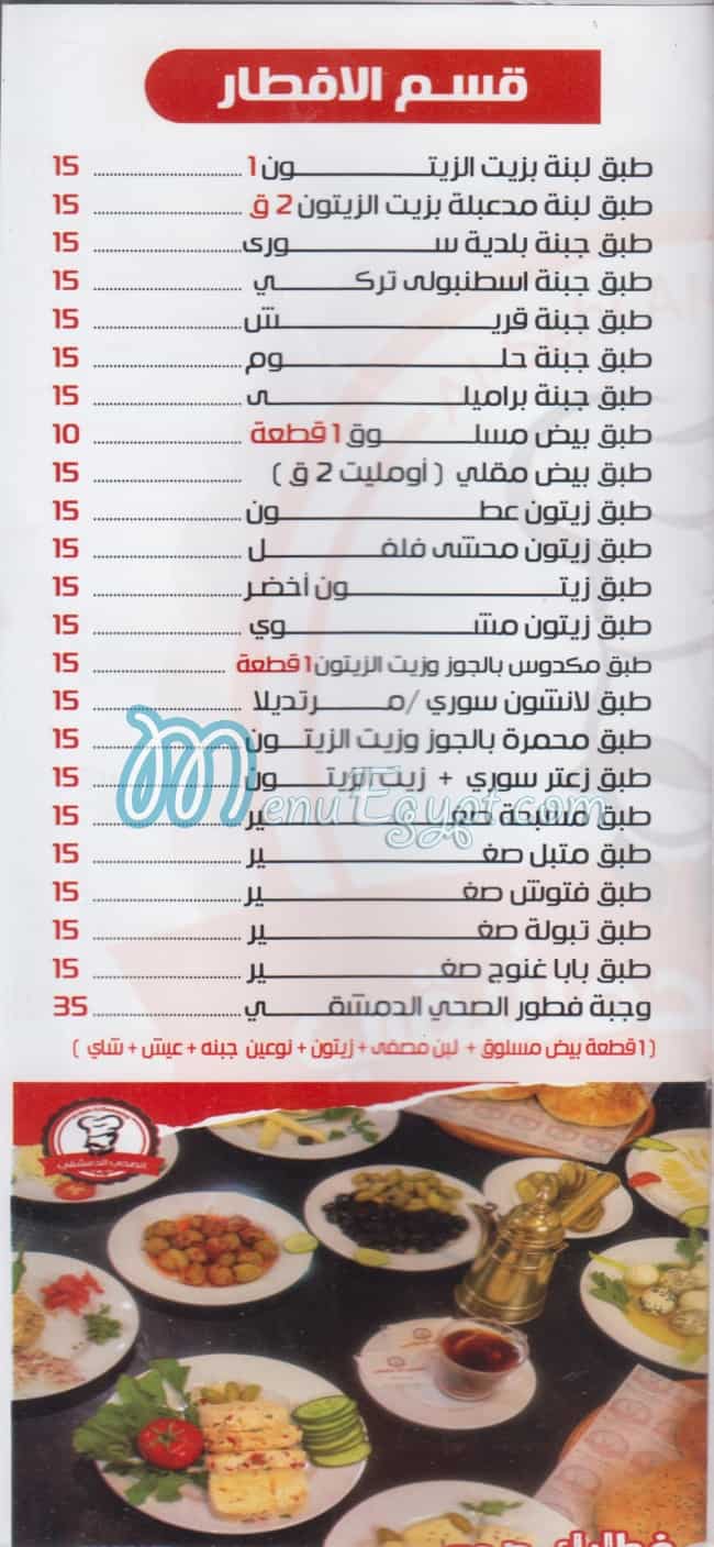 الصحى الدمشقى مصر