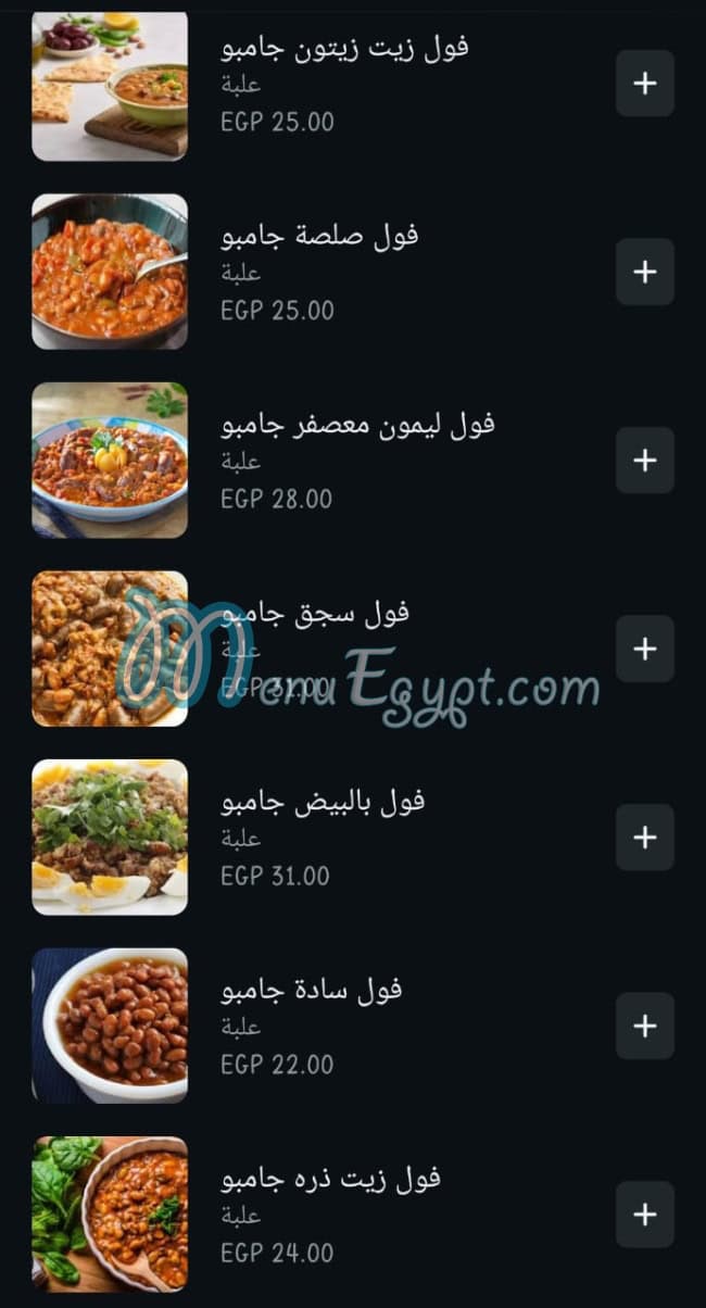 الواحى مصر