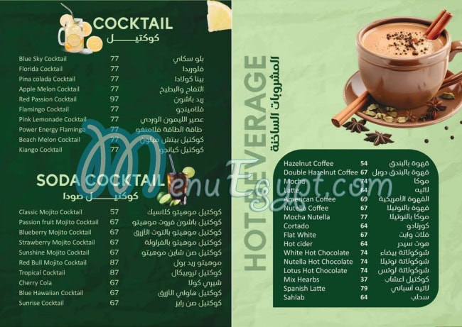 فلامنجو كوين البيطاش مصر الخط الساخن