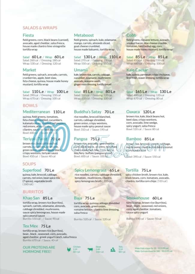 Menu delivery hotline Freshii Egypt