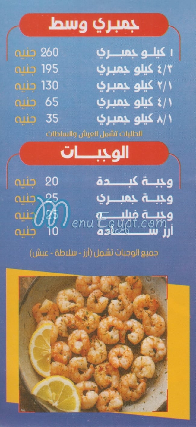 مالك الشرقاوي مصر الخط الساخن