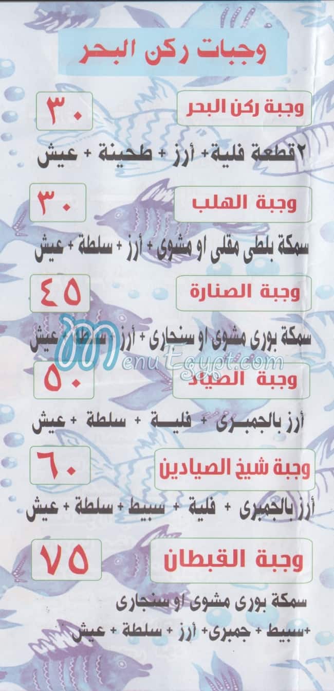 ركن البحر مصر الخط الساخن