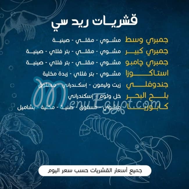 رقم ريد سي مصر