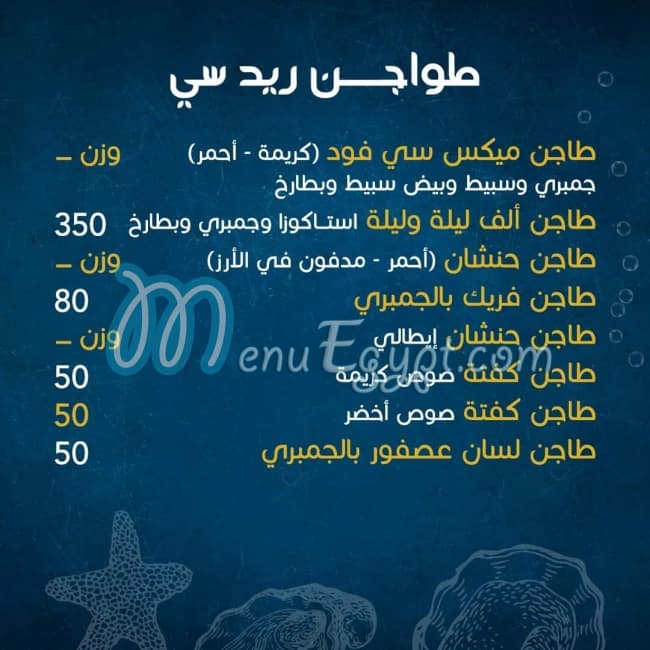 ريد سي مصر