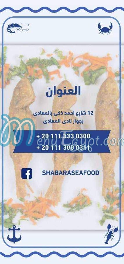 اسماك شبارة مصر الخط الساخن
