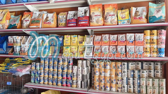 Africano El Zaher egypt