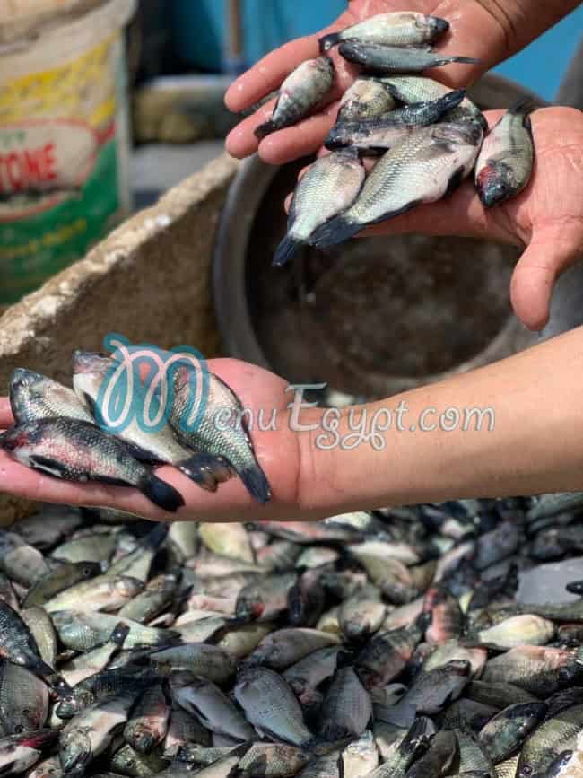 مطعم اللؤلؤ المكنون مصر