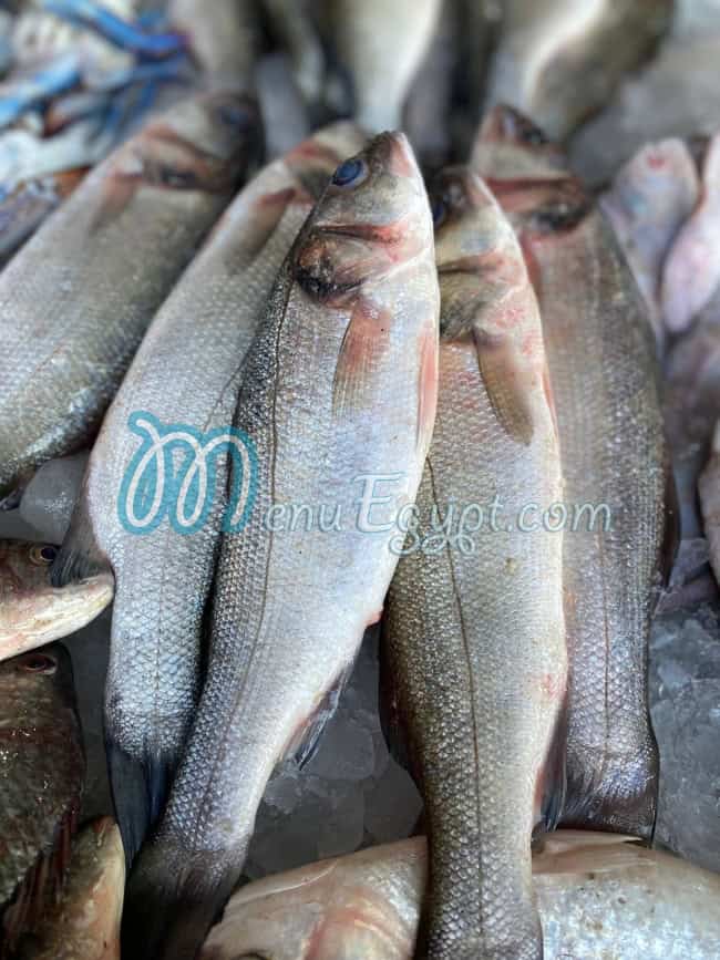 اللؤلؤ المكنون مصر منيو بالعربى