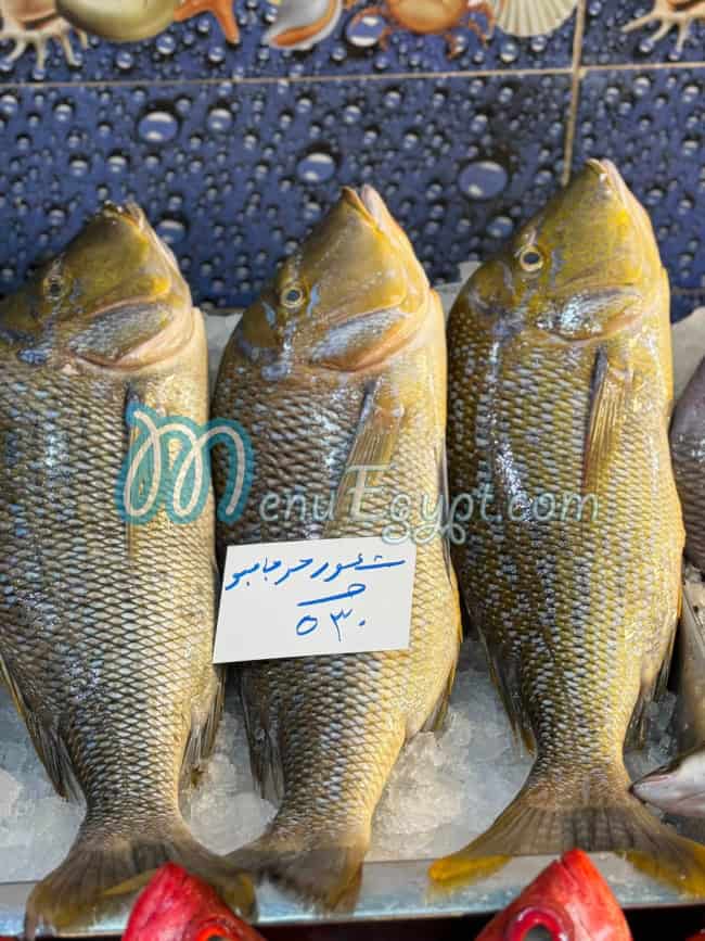 أسعار المنزلاوي مصر
