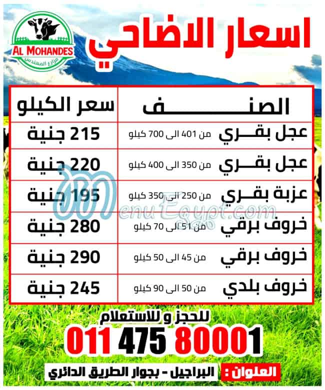 لحوم  المهندس مصر الخط الساخن