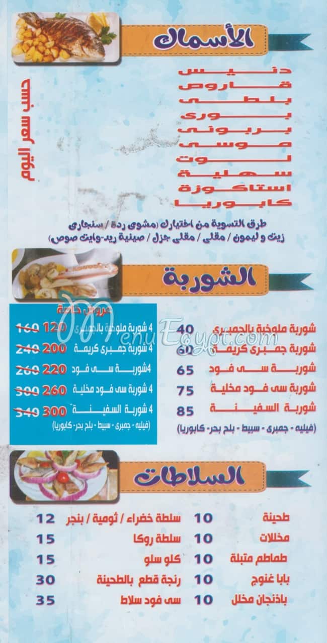 al safeenah egypt