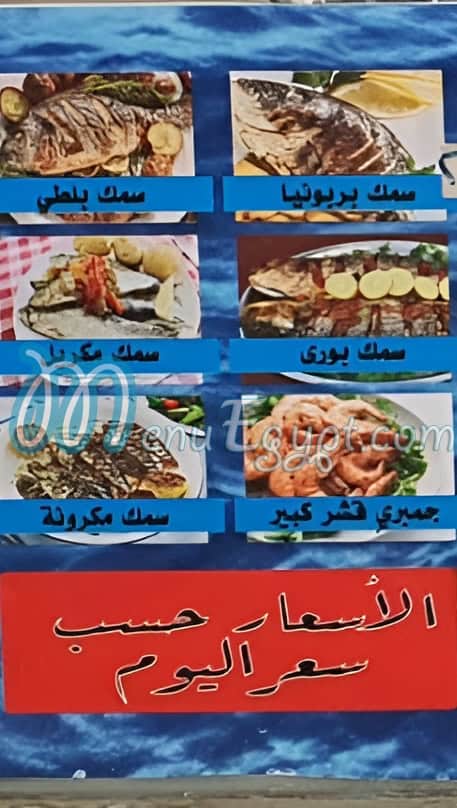 رقم الصياد الشيخ زايد مصر