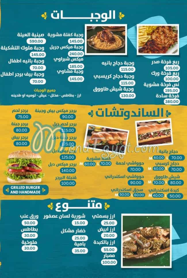 الشبراوي الأصل مصر الخط الساخن
