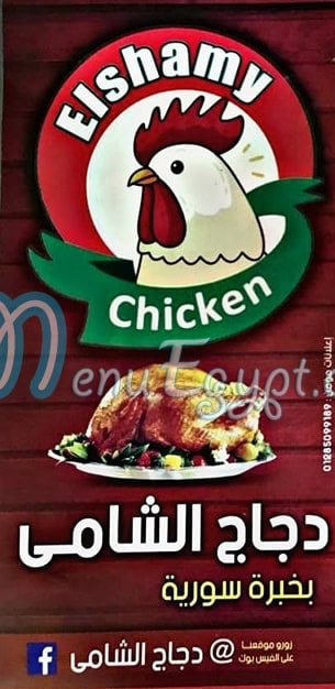 دجاج الشامي مصر الخط الساخن