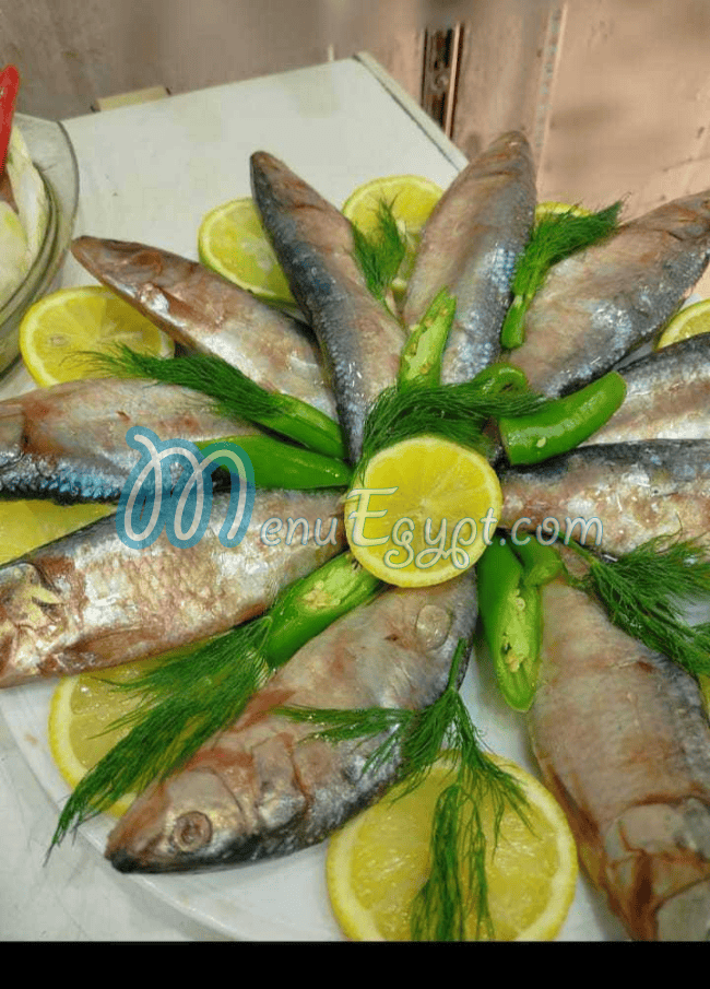 Alaam Al Fasakhany egypt