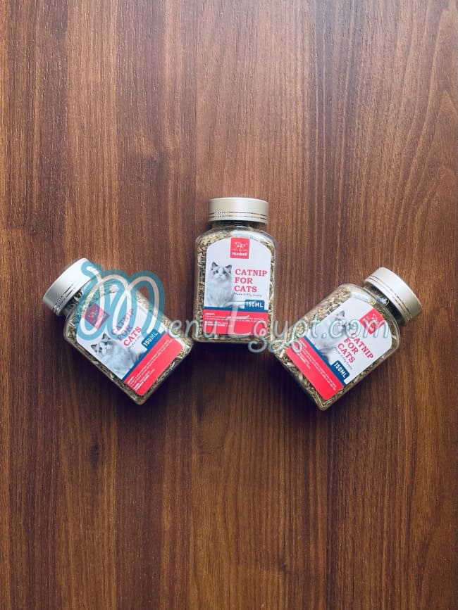 رقم أليف بيت شوب مصر