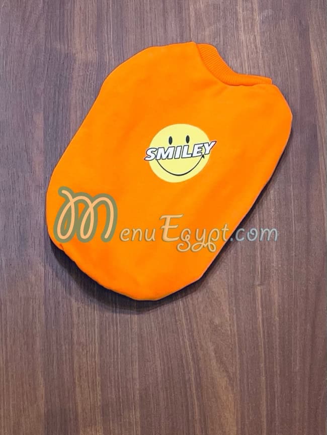 أليف بيت شوب مصر