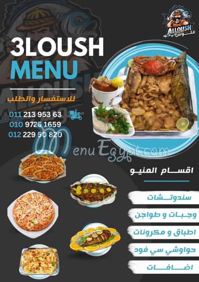 علوش مصر الخط الساخن
