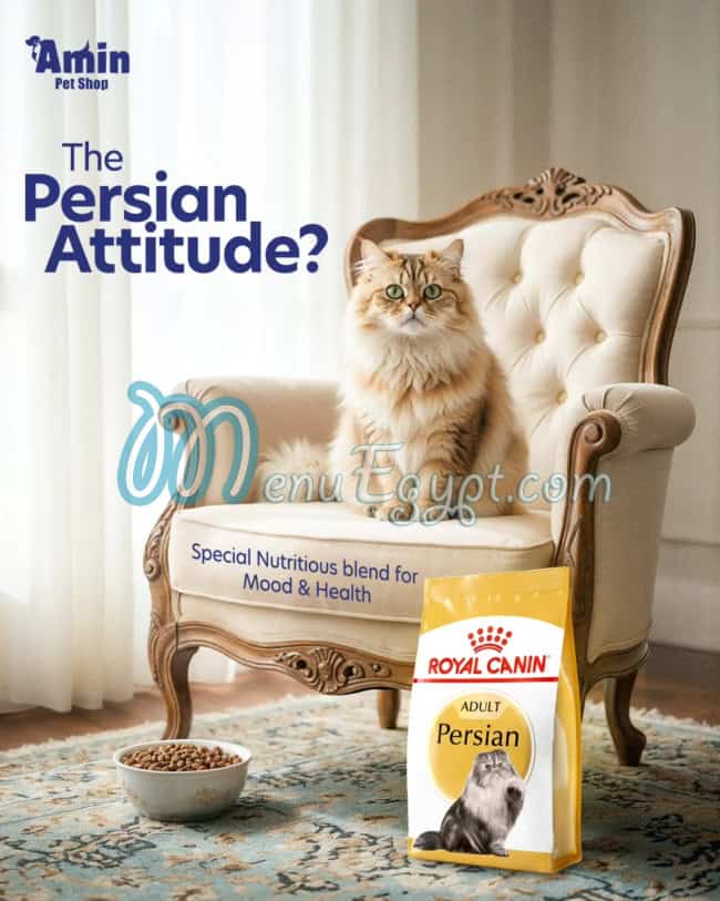 أمين بيت شوب مصر