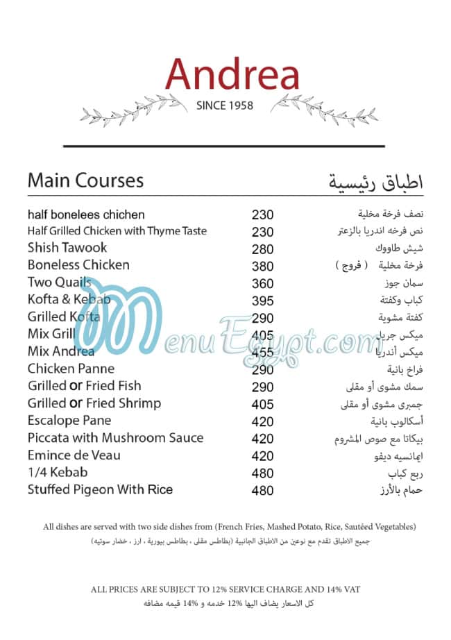 Andrea delivery menu