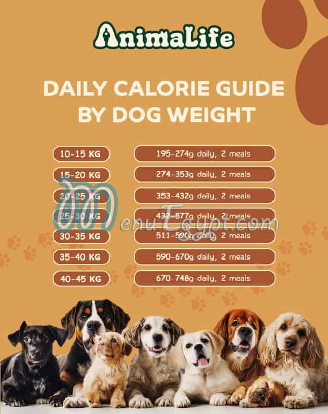 AnimaLife online menu