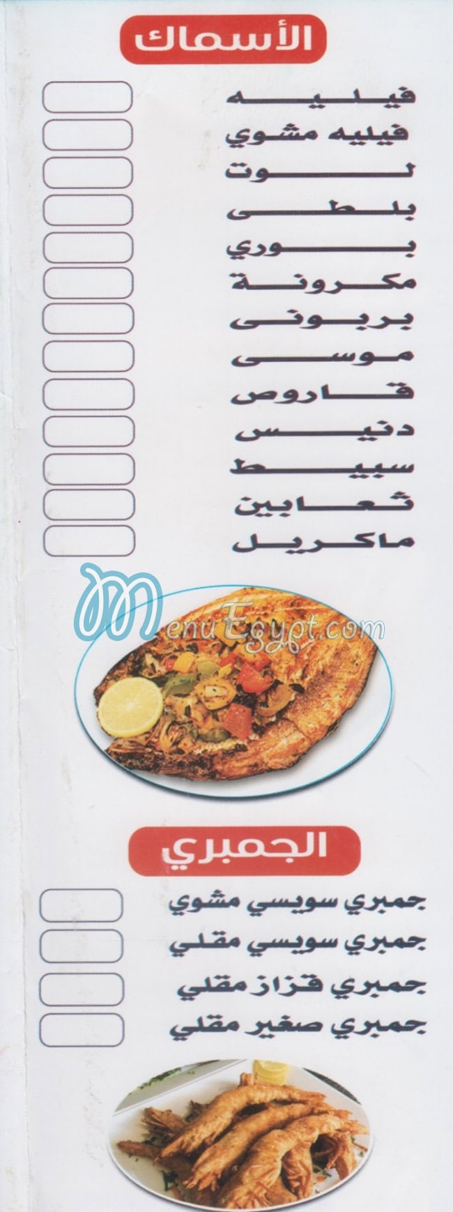 رقم اسماك عروس البحر مصر