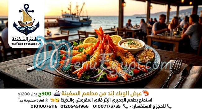 اسماك السفينه مصر الخط الساخن