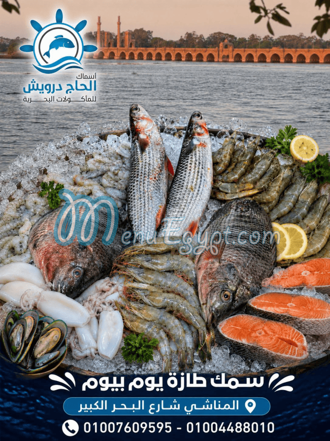 اسماك الحاج درويش مصر منيو بالعربى