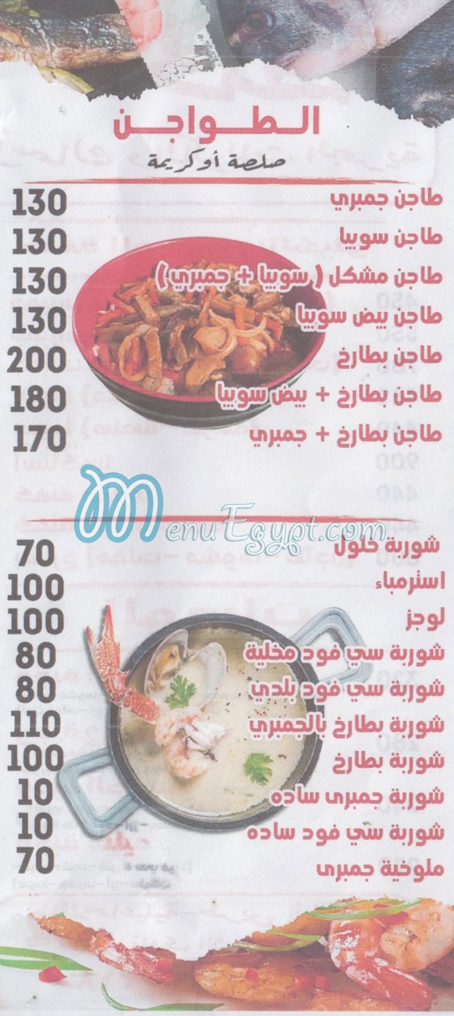 اسماك الحلقه مصر الخط الساخن