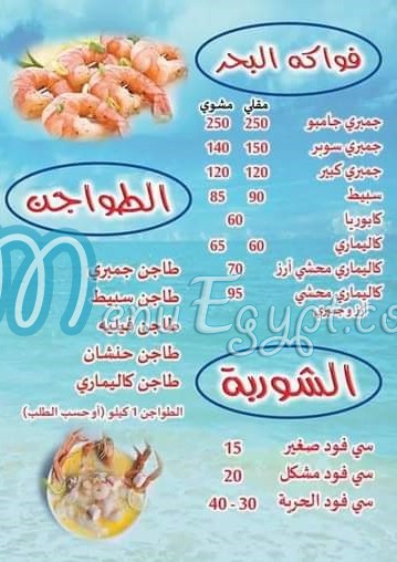 أسماك الحرية العبور مصر الخط الساخن